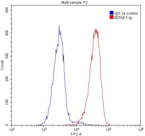 Flow cytometry (FC) experiment of Jurkat cells using SMN (Human-Specific) Monoclonal antibody (60154-1-Ig)
