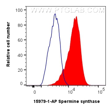 Flow cytometry (FC) experiment of HeLa cells using Spermine synthase Polyclonal antibody (15979-1-AP)