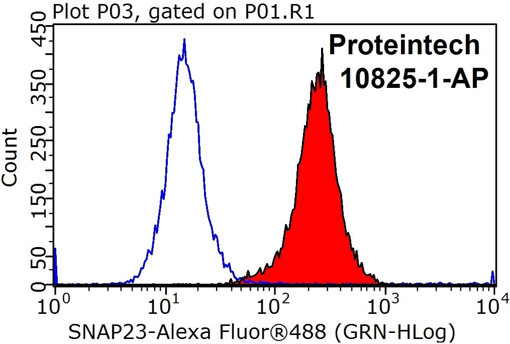 Flow cytometry (FC) experiment of HepG2 cells using SNAP23 Polyclonal antibody (10825-1-AP)