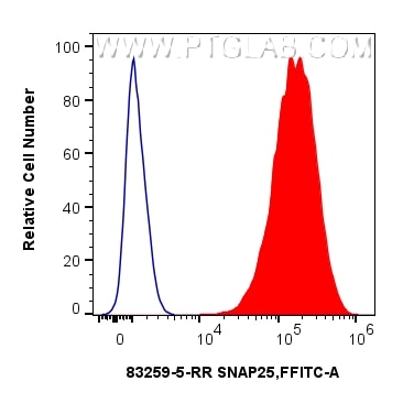 1x10^6 PC-12 cells were intracellularly stained with 0.25 ug SNAP25 Recombinant monoclonal antibody (83259-5-RR, Clone:240069F12) and CoraLite®488-Conjugated Goat Anti-Rabbit IgG(H+L) (SA00013-2)(red), or 0.25 ug Rabbit IgG Isotype Control RecAb (98136-1-RR, Clone: 240953C9) (blue). Cells were fixed and permeabilized with Intracellular Flow Cytometry Fixation & Permeabilization Buffer Kit (PF00019). Flow cytometry (FC) experiment of PC-12 cells using SNAP25 Recombinant monoclonal antibody (83259-5-RR)