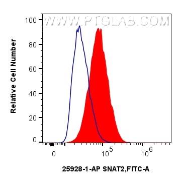 FC experiment of A549 using 25928-1-AP (same clone as 25928-1-PBS) Flow cytometry (FC) experiment of A549 cells using SNAT2 Polyclonal antibody (25928-1-AP)