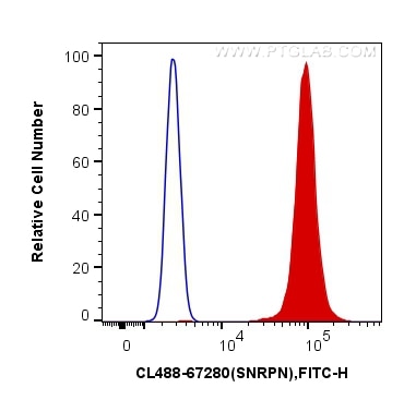 Flow cytometry (FC) experiment of HeLa cells using CoraLite® Plus 488-conjugated SNRPN Monoclonal ant (CL488-67280)