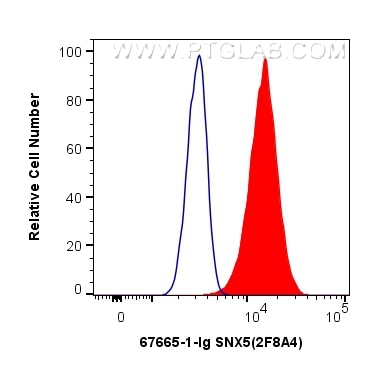 Flow cytometry (FC) experiment of HeLa cells using SNX5 Monoclonal antibody (67665-1-Ig)