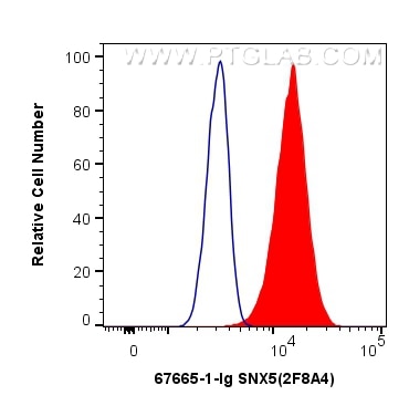 FC experiment of HeLa using 67665-1-Ig