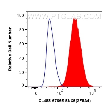 Flow cytometry (FC) experiment of HeLa cells using CoraLite® Plus 488-conjugated SNX5 Monoclonal anti (CL488-67665)