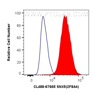 SNX5