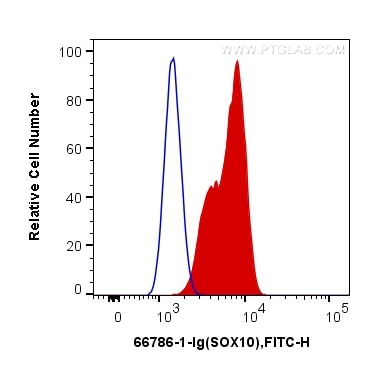 Flow cytometry (FC) experiment of C6 cells using SOX10 Monoclonal antibody (66786-1-Ig)