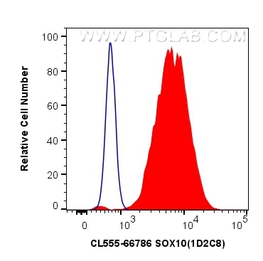 Flow cytometry (FC) experiment of C6 cells using CoraLite®555-conjugated SOX10 Monoclonal antibody (CL555-66786)