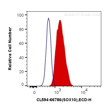 Flow cytometry (FC) experiment of C6 cells using CoraLite®594-conjugated SOX10 Monoclonal antibody (CL594-66786)