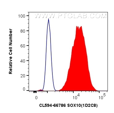 Flow cytometry (FC) experiment of C6 cells using CoraLite®594-conjugated SOX10 Monoclonal antibody (CL594-66786)