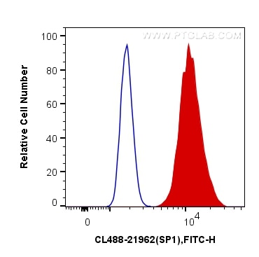 Flow cytometry (FC) experiment of HeLa cells using CoraLite® Plus 488-conjugated SP1 Polyclonal antib (CL488-21962)