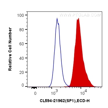 Flow cytometry (FC) experiment of HeLa cells using CoraLite®594-conjugated SP1 Polyclonal antibody (CL594-21962)