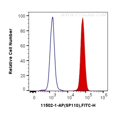 Flow cytometry (FC) experiment of Jurkat cells using SP110 Polyclonal antibody (11502-1-AP)