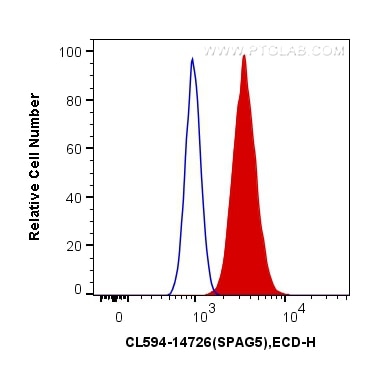 Flow cytometry (FC) experiment of HeLa cells using CoraLite®594-conjugated SPAG5 Polyclonal antibody (CL594-14726)