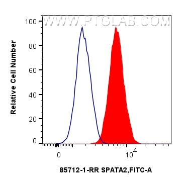 Flow cytometry (FC) experiment of MCF-7 cells using SPATA2 Recombinant monoclonal antibody (85712-1-RR)