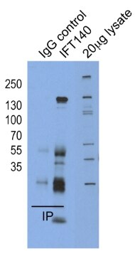 SPCS3