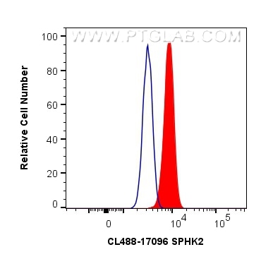 Flow cytometry (FC) experiment of HeLa cells using CoraLite® Plus 488-conjugated SPHK2 Polyclonal ant (CL488-17096)