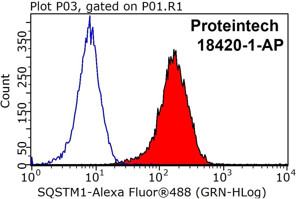 Flow cytometry (FC) experiment of HEK-293T cells using P62,SQSTM1 Polyclonal antibody (18420-1-AP)
