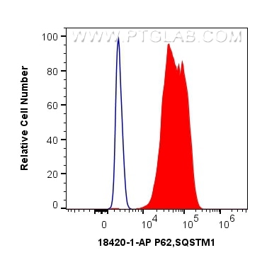 Flow cytometry (FC) experiment of HEK-293 cells using P62,SQSTM1 Polyclonal antibody (18420-1-AP)