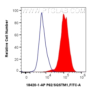 FC experiment of HEK-293 using 18420-1-AP Flow cytometry (FC) experiment of HEK-293 cells using P62/SQSTM1 Polyclonal antibody (18420-1-AP)