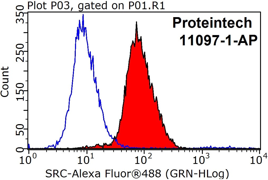 Flow cytometry (FC) experiment of SH-SY5Y cells using c-SRC Polyclonal antibody (11097-1-AP)