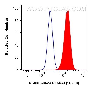 Flow cytometry (FC) experiment of HeLa cells using CoraLite® Plus 488-conjugated SSSCA1 Monoclonal an (CL488-68423)