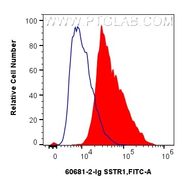 FC experiment of SH-SY5Y using 60681-2-Ig Flow cytometry (FC) experiment of SH-SY5Y cells using SSTR1 Monoclonal antibody (60681-2-Ig)