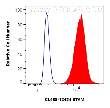 FC experiment of HeLa using CL488-12434 Flow cytometry (FC) experiment of HeLa cells using CoraLite® Plus 488-conjugated STAM Polyclonal anti (CL488-12434)
