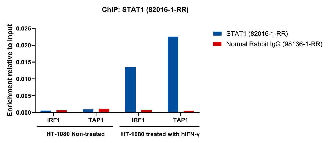 ChIP experiment of HT-1080 cells using STAT1 Recombinant antibody (82016-1-RR)