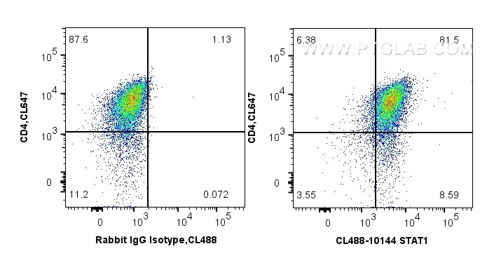 Flow cytometry (FC) experiment of mouse Th1 using CoraLite® Plus 488-conjugated STAT1 Polyclonal ant (CL488-10144)