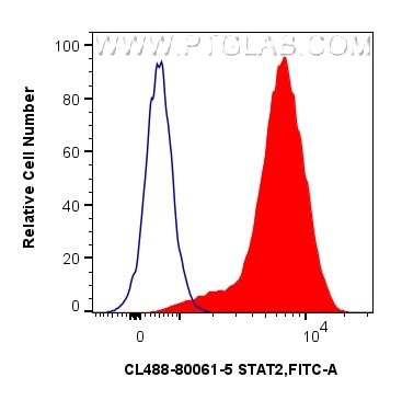 Flow cytometry (FC) experiment of Ramos cells using CoraLite® Plus 488-conjugated STAT2 Recombinant mo (CL488-80061-5)