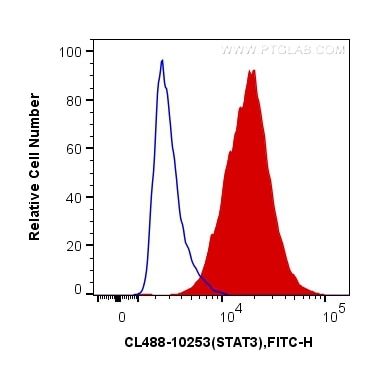 Flow cytometry (FC) experiment of HeLa cells using CoraLite® Plus 488-conjugated STAT3 Polyclonal ant (CL488-10253)