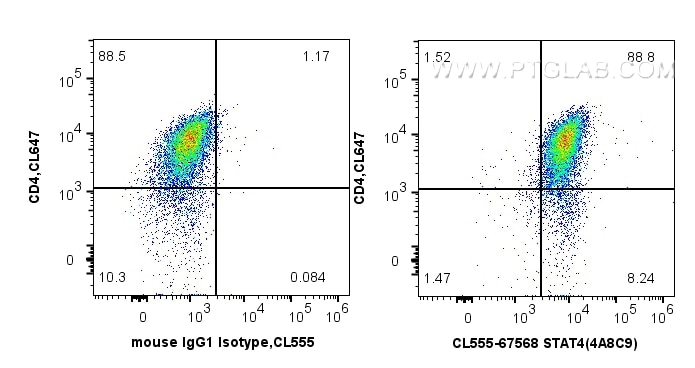 FC experiment of mouse Th1 using CL555-67568