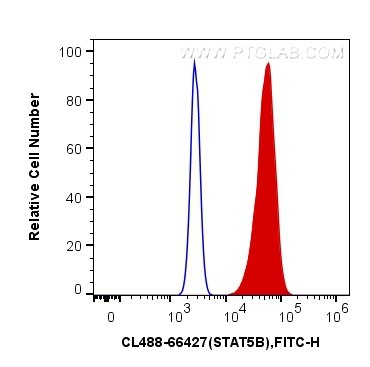 FC experiment of HeLa using CL488-66427