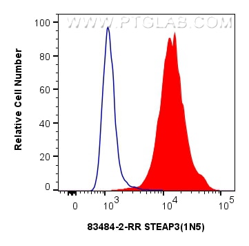 Flow cytometry (FC) experiment of HeLa cells using STEAP3 Recombinant antibody (83484-2-RR)