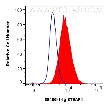 Flow cytometry (FC) experiment of 3T3-L1 cells using STEAP4 Monoclonal antibody (68465-1-Ig)