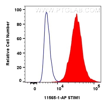 Flow cytometry (FC) experiment of HepG2 cells using STIM1 Polyclonal antibody (11565-1-AP)