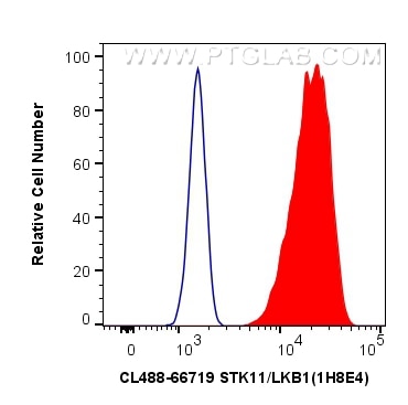 Flow cytometry (FC) experiment of HeLa cells using CoraLite® Plus 488-conjugated STK11/LKB1 Monoclona (CL488-66719)