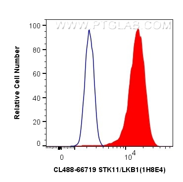 Flow cytometry (FC) experiment of HeLa cells using CoraLite® Plus 488-conjugated STK11/LKB1 Monoclona (CL488-66719)