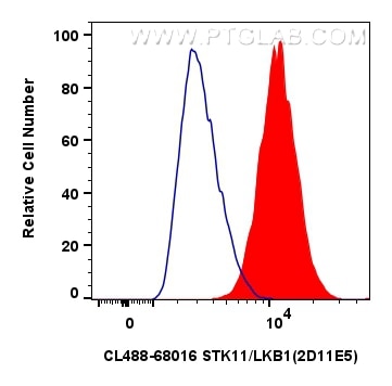 Flow cytometry (FC) experiment of MCF-7 cells using CoraLite® Plus 488-conjugated STK11/LKB1 Monoclona (CL488-68016)