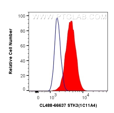 Flow cytometry (FC) experiment of NIH/3T3 cells using CoraLite® Plus 488-conjugated STK3 Monoclonal anti (CL488-66637)