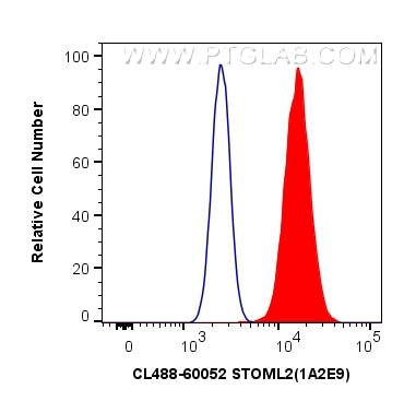 Flow cytometry (FC) experiment of HeLa cells using CoraLite® Plus 488-conjugated STOML2 Monoclonal an (CL488-60052)