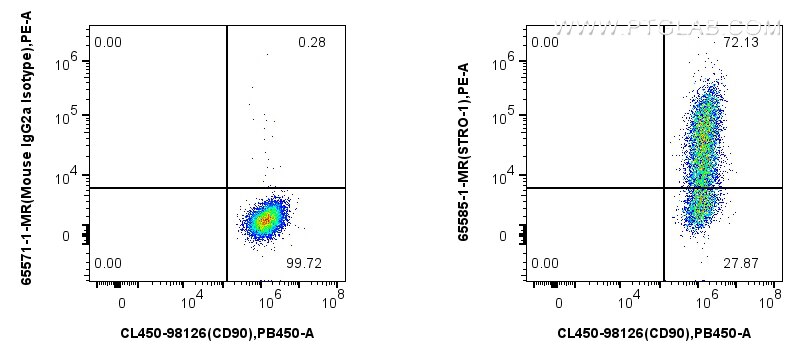 Flow cytometry (FC) experiment of Human Bone marrow mesenchymal stromal cells using Anti-Human STRO-1 (STRO-1) Mouse IgG2a Recombinant (65585-1-MR)