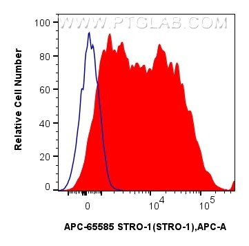 1x10^6 human bone marrow mesenchymal stromal cells were surface stained with 5 ul APC Anti-Human STRO-1 (STRO-1) Mouse IgG2a RecAb (APC-65585, Clone: STRO-1) or APC Mouse IgG2a Isotype Control (C1.18.4) (APC-65208, Clone: C1.18.4). Cells were incubated with FC Receptor Block prior to staining. Cells were not fixed. Flow cytometry (FC) experiment of Human Bone marrow mesenchymal stromal cells using APC Anti-Human STRO-1 (STRO-1) Mouse IgG2a Recombi (APC-65585)