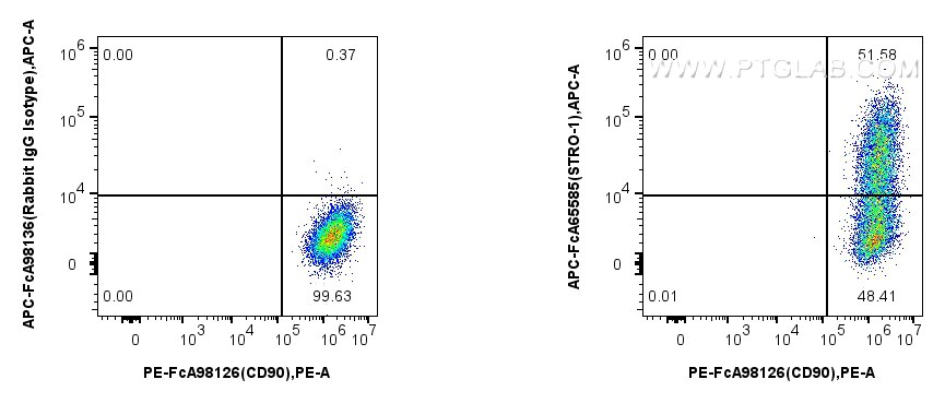 Flow cytometry (FC) experiment of Human Bone marrow mesenchymal stromal cells using FcZero-rAb™ APC Anti-Human STRO-1 (STRO-1) Rabbit  (APC-FcA65585)