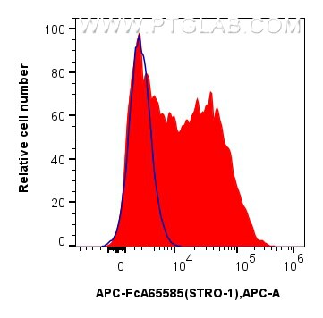 Flow cytometry (FC) experiment of Human Bone marrow mesenchymal stromal cells using FcZero-rAb™ APC Anti-Human STRO-1 (STRO-1) Rabbit  (APC-FcA65585)
