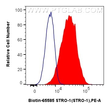 Flow cytometry (FC) experiment of MG-63 cells using Biotin Anti-Human STRO-1 (STRO-1) Mouse IgG2a Reco (Biotin-65585)