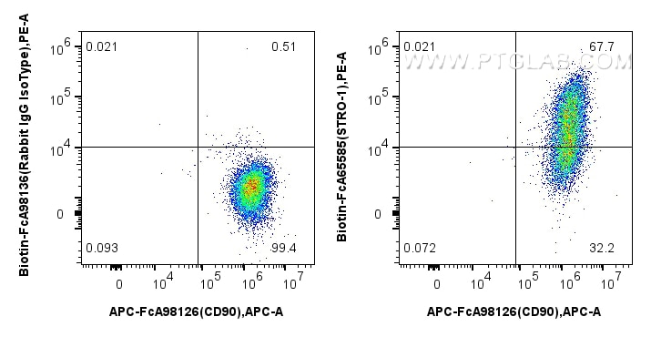 Flow cytometry (FC) experiment of Human Bone marrow mesenchymal stromal cells using FcZero-rAb® Biotin Anti-Human STRO-1 (STRO-1) Rabb (Biotin-FcA65585)