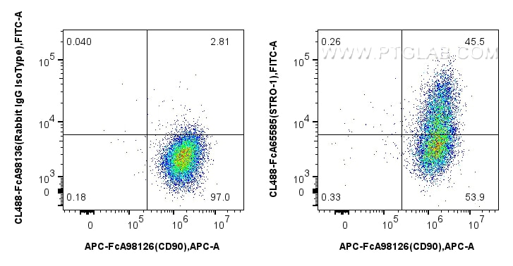 FC experiment of Human Bone marrow mesenchymal stromal cells using CL488-FcA65585 Flow cytometry (FC) experiment of Human Bone marrow mesenchymal stromal cells using FcZero-rAb® CoraLite® Plus 488 Anti-Human STRO-1 ( (CL488-FcA65585)