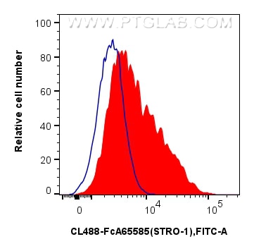 FC experiment of Human Bone marrow mesenchymal stromal cells using CL488-FcA65585 Flow cytometry (FC) experiment of Human Bone marrow mesenchymal stromal cells using FcZero-rAb® CoraLite® Plus 488 Anti-Human STRO-1 ( (CL488-FcA65585)